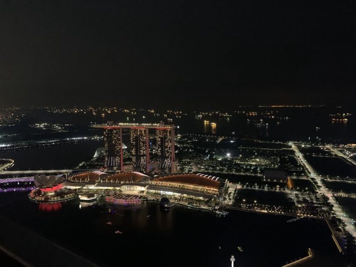 Singapore Business and Education Delegation
